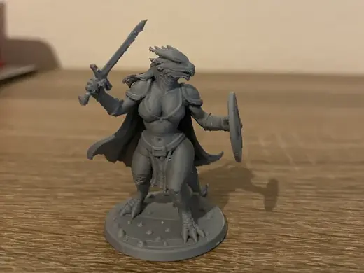 Dungeons&Drabons Dragonborn Paladinin