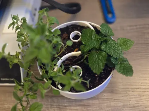 Yin Yang flower pot