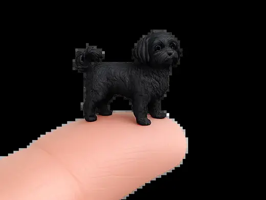 30mm Dog Miniatures - #19 Maltese Bichon