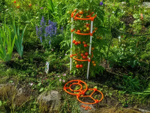 The Tomato System – Storm Edition