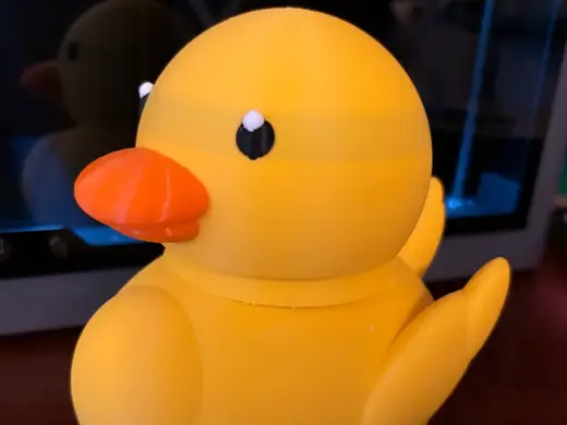 Rubber Duck Storage Container