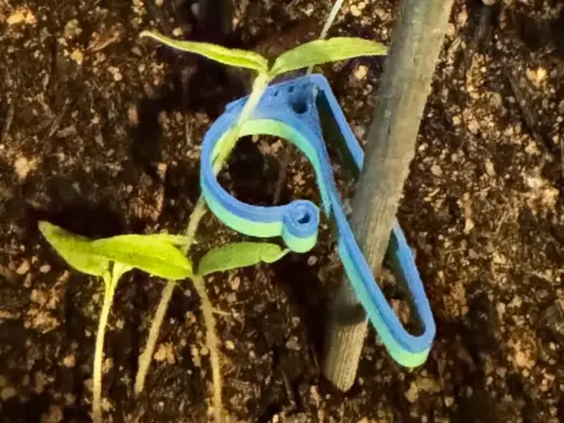 flexible Pflanzenfixierung - Tomatenklemme