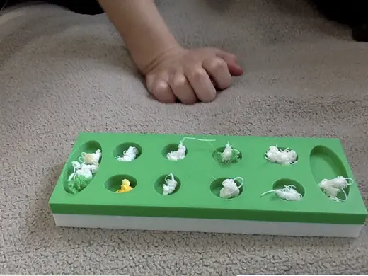 Mancala with poop