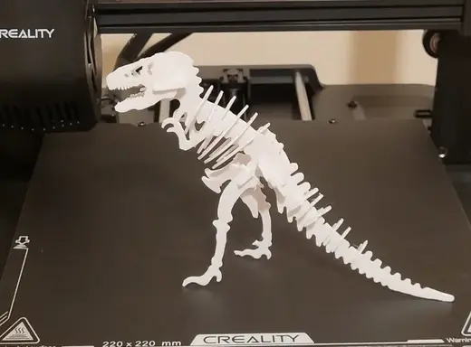T-rex kit card