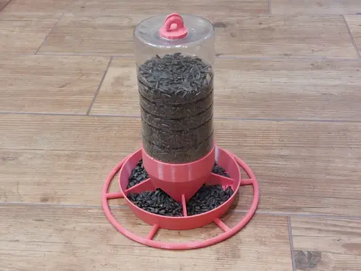 Bird feeder made from a granulated tea bottle