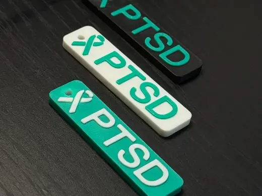 PTSD/KPTSD Awareness Keychain
