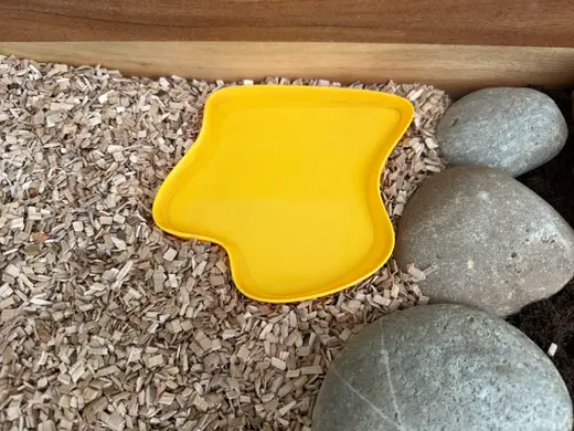 Terrarium Wasserschale