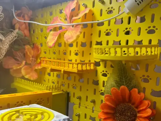 超全尺寸洞洞板猫咪造型可爱 寄居蟹攀爬造景 兼容宜家配件