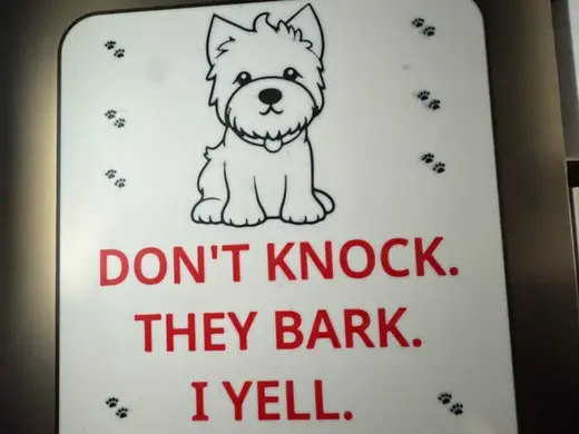 Westie Don't knock They bark. I yell. Gets crazy