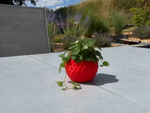 Strawberry Planter – Erdbeer Blumentopf / Vase