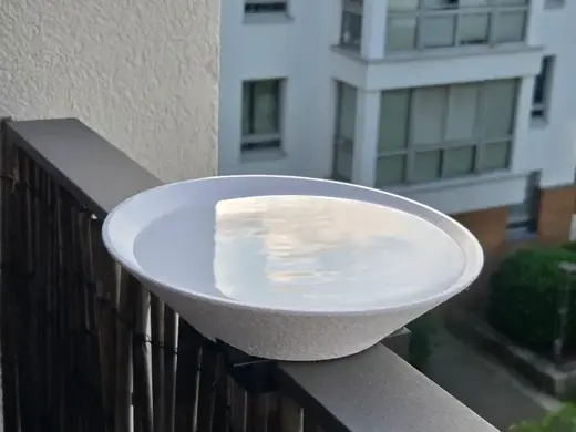 KISS: Bird Bath / Water Bowl