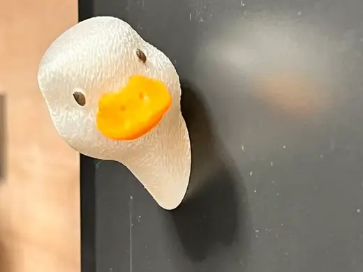 呆萌鸭问号鸭你在干什么鸭
