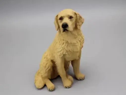 Golden Retriever assis