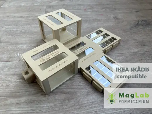 MagLab Formicarium - A magnetic modular ant nest