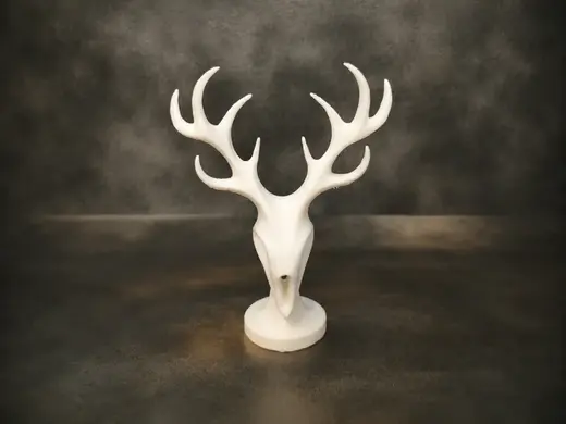 Minimalist Deer Skull Bust