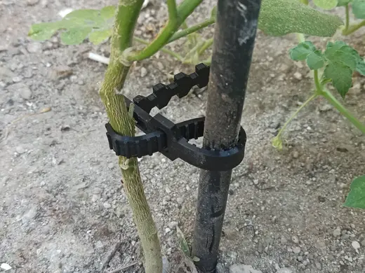 Tree Support Clip for Bamboo Stake (TPU)
