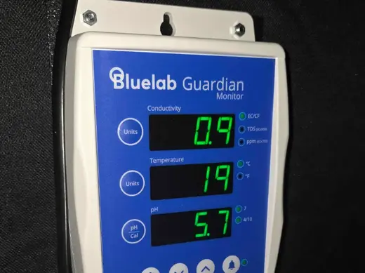 Bluelab Guardian Magnethalterung