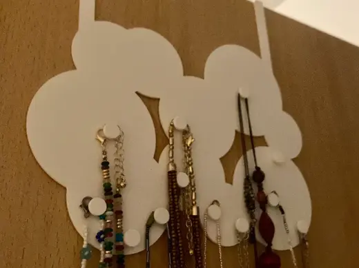 Organizer for Jewelery