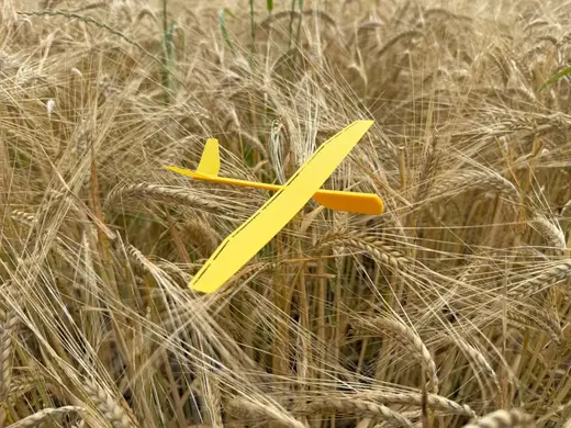 Glider V-Tail Airplane with Flaps