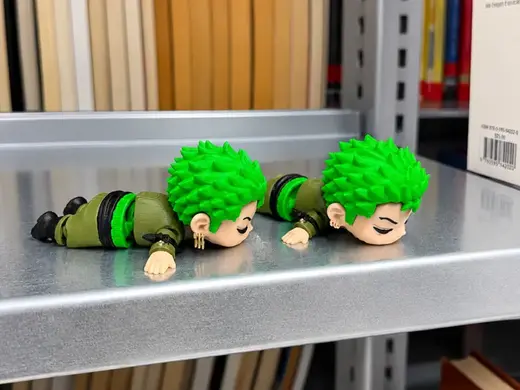 Print your flexi buddy - Sleepy Zoro