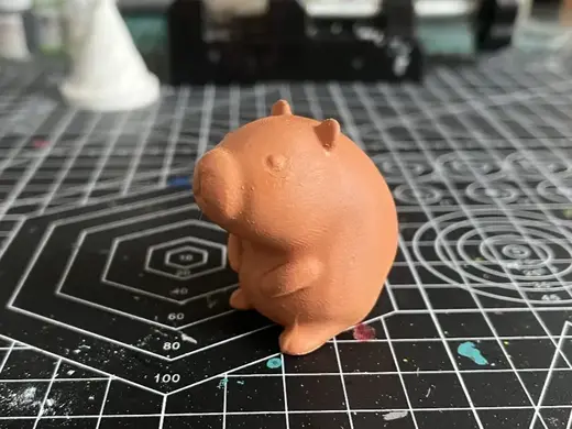 卡皮巴拉 capybara 水豚