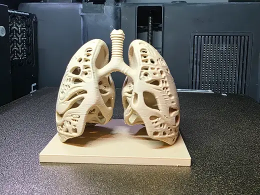 Future Lungs: Now With Extra Holes