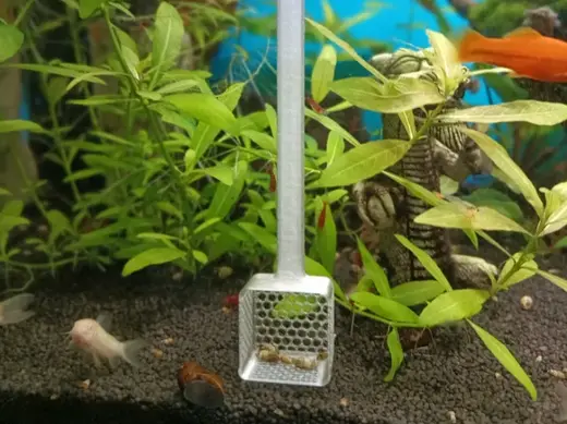 Aquarium shovel with gravel sieve