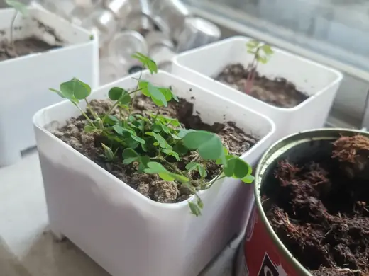 7560简易花盆,透气种植盆
