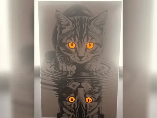Orange-Eyed Reflection Kitten Bookmark Set