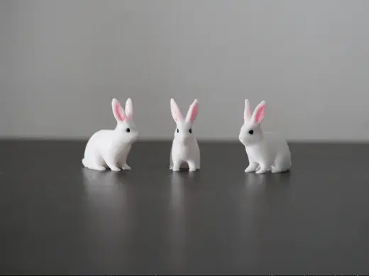 Cute Rabbit