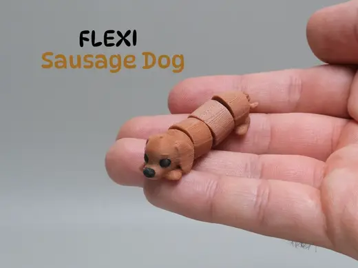 Cute Sausage Dog | Dachshund Lying Flat 3D Model