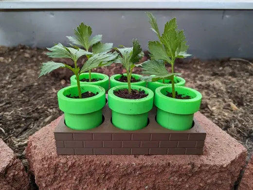 Mario Seed Starter Tray - Self Watering
