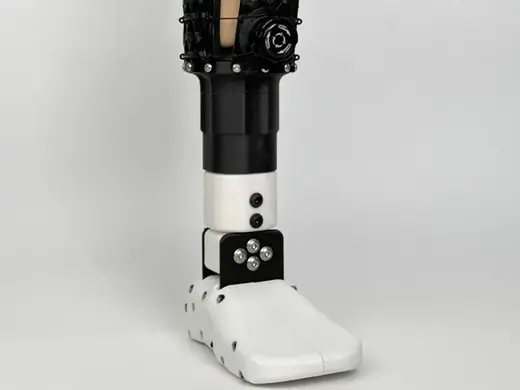 Adjustable Below-Knee Prosthetic Leg - Child