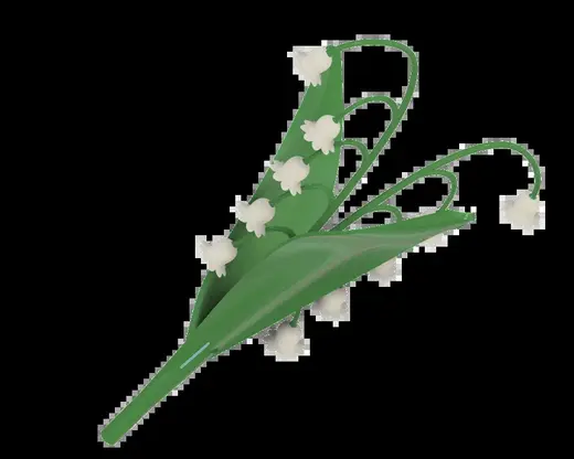 Lily of the valley / Muguet