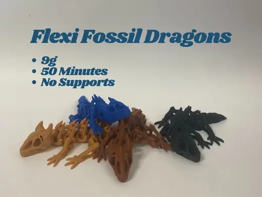 Flexi Fossil Dragons
