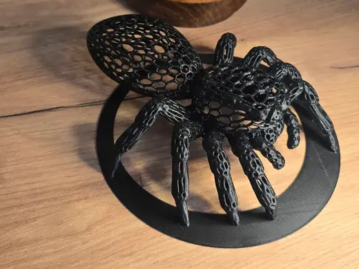 Voronoi jumping spider