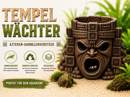 Tempelwächter Aztekisches Garnelenversteck
