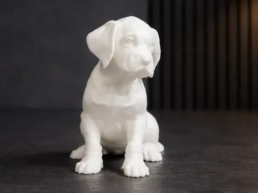 Great Dane Puppy - Dog - Animal