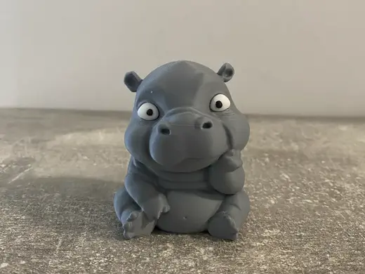 Cute little Baby Hippo
