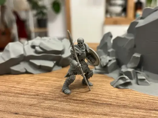 DnD Ready - Skeleton Warrior - Spear & Shield 2