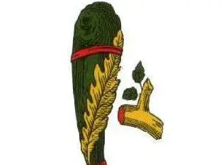 Asso di mazze carte siciliane