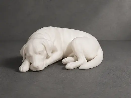 Sleeping Labrador Retriever - Animal - Cute