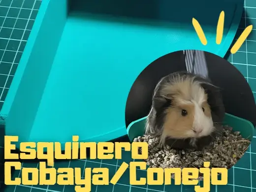 Esquinero Cobaya - Conejo