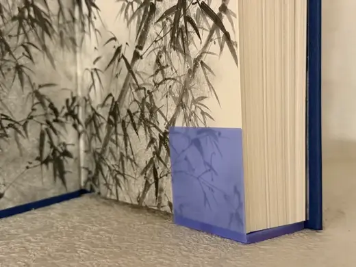 Yumi and the Nightmare Painter Book Shoe - Cosmere