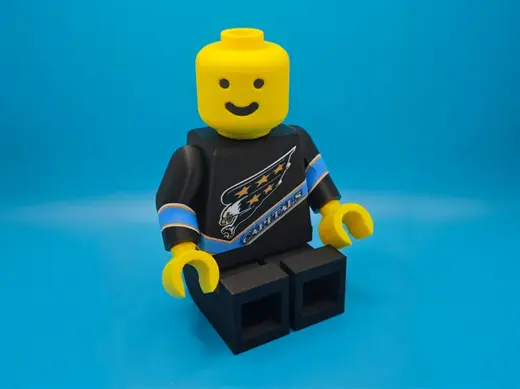 Washington Capitals 50th Anniversary BLACKOUT