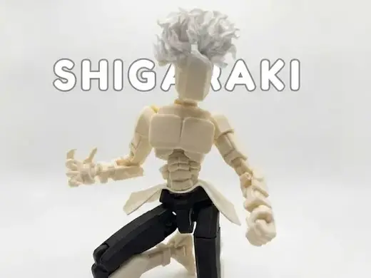 Shigaraki / Dummy 13