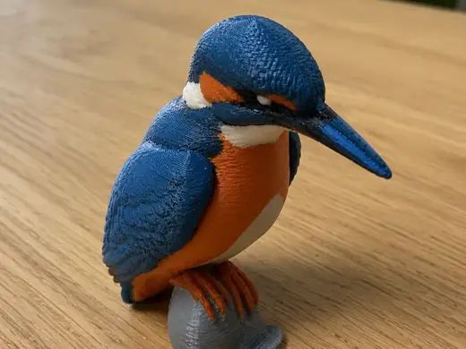 kingfisher