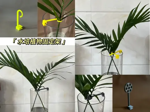 水培植物固定架|花瓶卡扣防倒伏支架