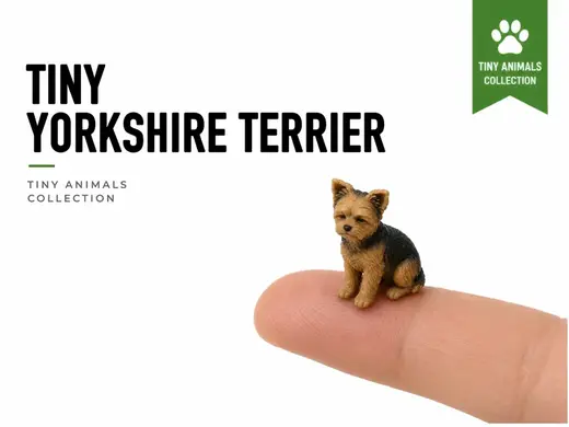 Tiny Yorkshire Terrier - Mini Animals Series