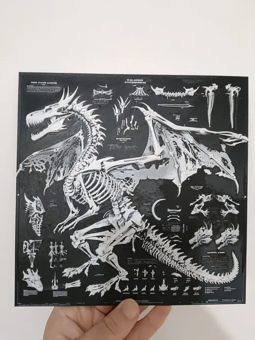 Dragon Anatomy Poster - B&W